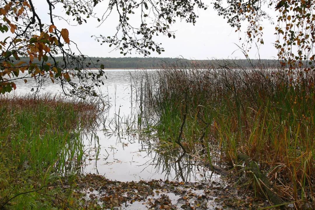 Jezioro Lucieńskie - odkryj jego piękno i atrakcje w okolicy